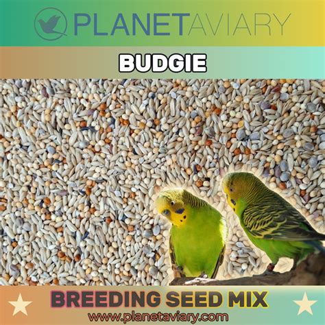 Budgie Breeding Seed Mixture Planet Aviary