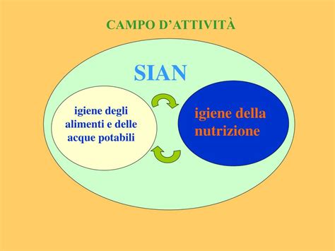 PPT Servizio Igiene Alimenti e Nutrizione Dipartimento di Sanità