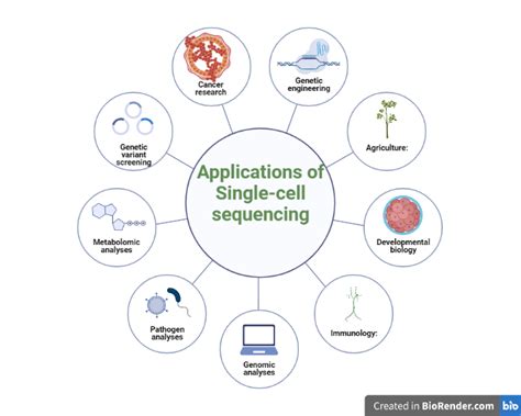 Single Cell Sequencing Introduction Principle Types Discovery Workflow Applications