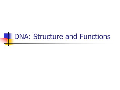 Ppt Dna Structure And Functions Powerpoint Presentation Free