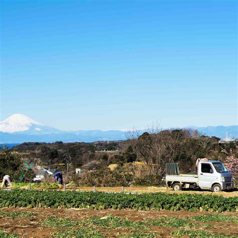 Photos: K-cars in Japan | JAPANICLE