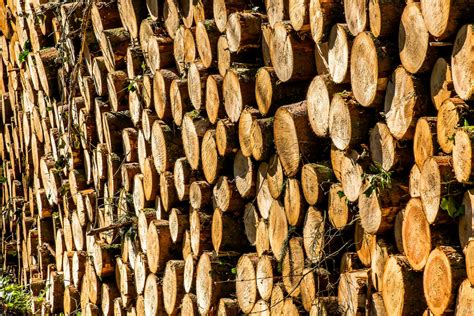 U.S. finalizes Canadian softwood lumber duties - My Grande Prairie Now