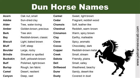 Cool Dun Horse Names (with meaning) - Pet Names Vocab