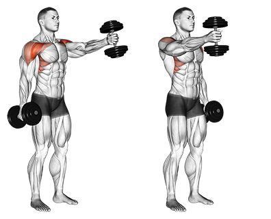 Barbell Shoulder Front Raise | Barbell Front Raise