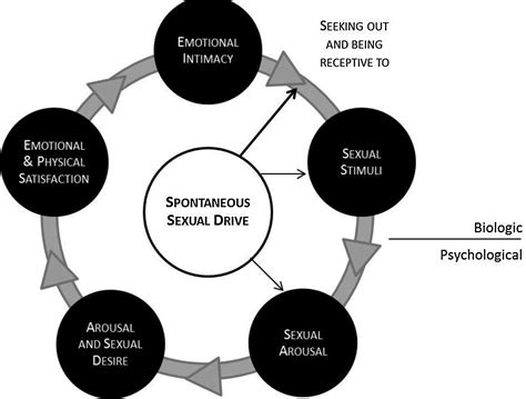 A Biopsychosocial Approach To Womens Sexual Function And Dysfunction