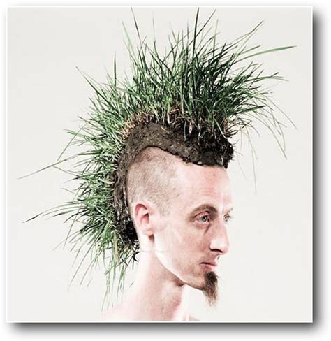 Pin By Jsj0522 On 創意ideas Grass Hair Creative Photography