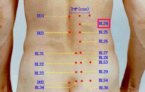 Acupuncture Points On The Lower Back Acupuncture Acupuncture Clinic