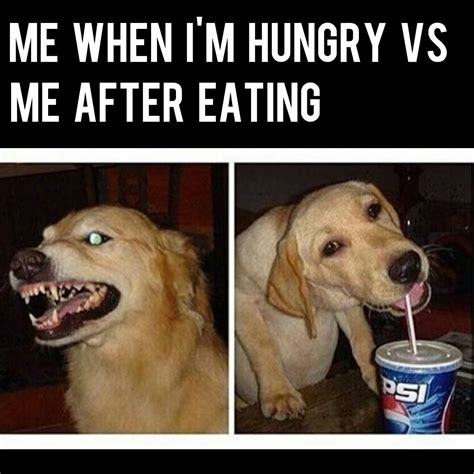 Hungry Dog Meme