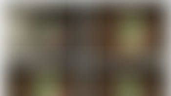 Sandra Silvers Bondage Porn Videos Clips4sale