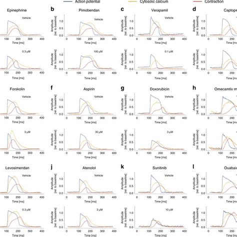 Averaged Representative Transients Of HiPSC CMs In Response To Vehicle