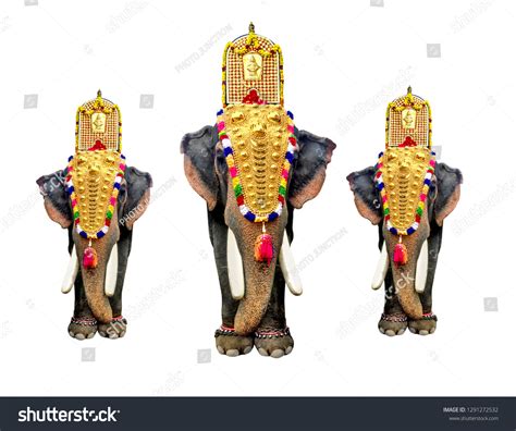 Kerala Decorated Elephant Photos Images And Pictures