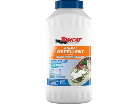 Best Chipmunk Repellents Updated Expert Review