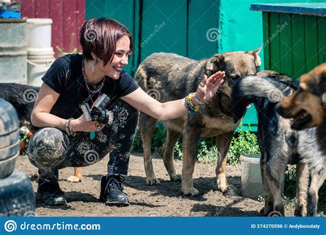 Dog at the Shelter. Animal Shelter Volunteer Takes Care of Dogs Stock Photo - Image of doggie ...