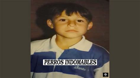 Perros Indomables Youtube