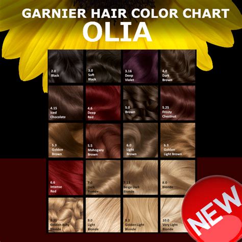 olia hair dye color chart Garnier olia shades ulta tintes tinte tinta ...