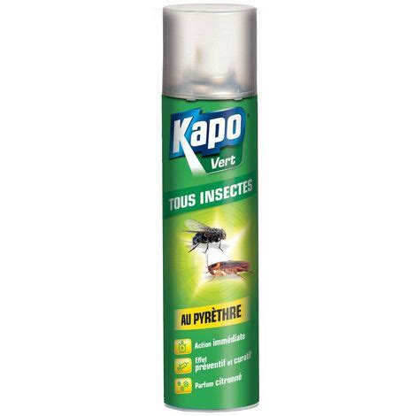 Les Styles Assortis AUTRES Kapo Vert Tous Insectes Aero300ml KAPO