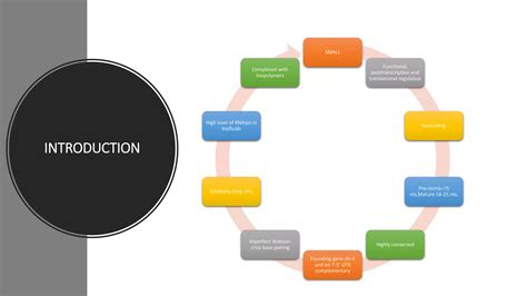 Mirna Biogenesis Mechanism Of Action Isolation Protocol And