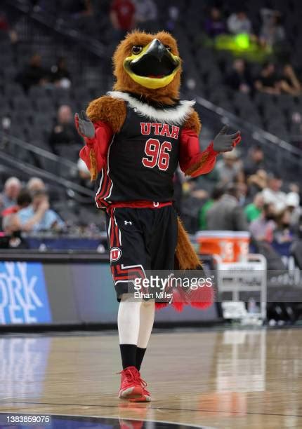 Utah Utes Mascot Photos and Premium High Res Pictures - Getty Images