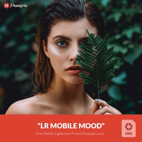 Free Mobile Dng Preset For Lightroom Bohemian Presetpro