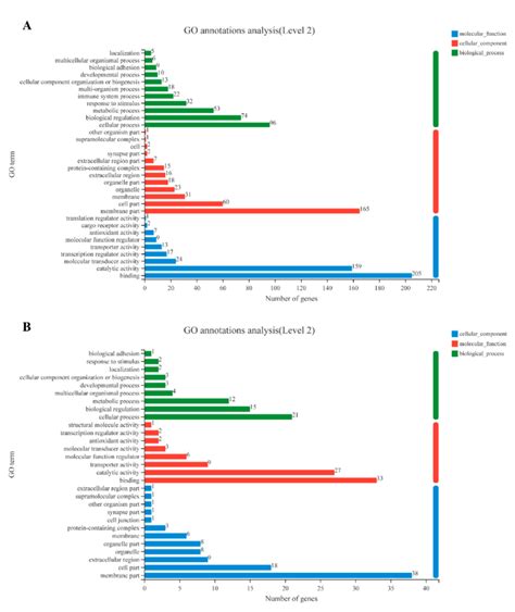 Gene Ontology Go Term Enrichment Analysis The Go Annotation Results