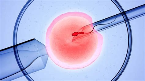 IVF Fertility Treatment In Al Ain Fertility Center IVF Treatment