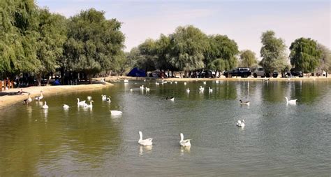 Al Qudra Lake, Love Lake Dubai, Al Qudra Desert and Camping - Offroad ...