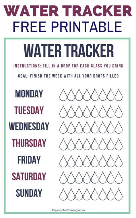 Printable Water Intake Chart