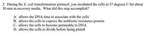 [Solved]: 2. During the E. coli transformation protocol, yo