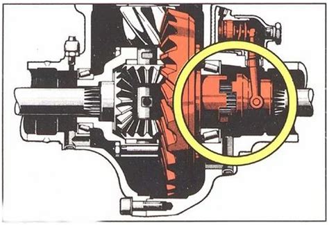 Manual Locking Differential in Vellore, Smart Brain Labs | ID: 4624087955