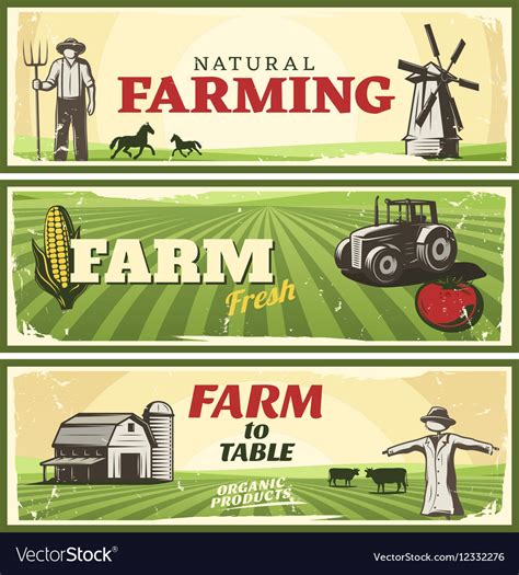 Farm To Table Concept Banners Set Royalty Free Vector Image