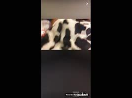 Wet Scope Pussy ShesFreaky