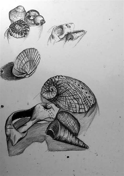 40 Excellent Observational Drawing Ideas Bored Art