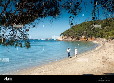 Plage du Pellegrin, a secluded beach near Bormes-les-Mimosas, Var ...