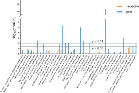 Frontiers Integrative Analysis Of The Transcriptome And Metabolome