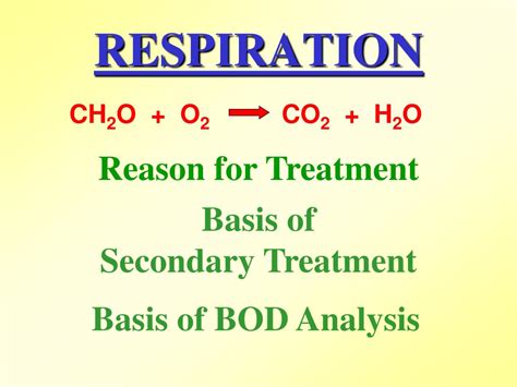 Ppt Dissolved Oxygen And Biochemical Oxygen Demand Analyses