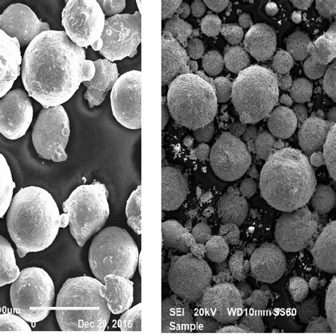 Scanning Electron Micrographs Sem Of A As Received Inconel And