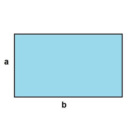 Izdaja Prosvijetli Kreta Como Se Calcula El Perimetro De Un Rectangulo