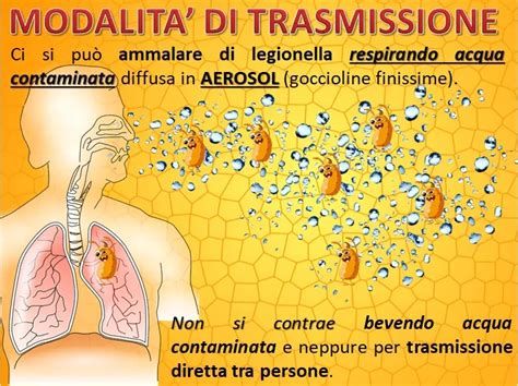 Modalit Di Trasmissione Della Legionella Analisi Acqua