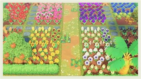 Top Down Game Rainbow Flowers Amiibo Hoarding Flower Field New