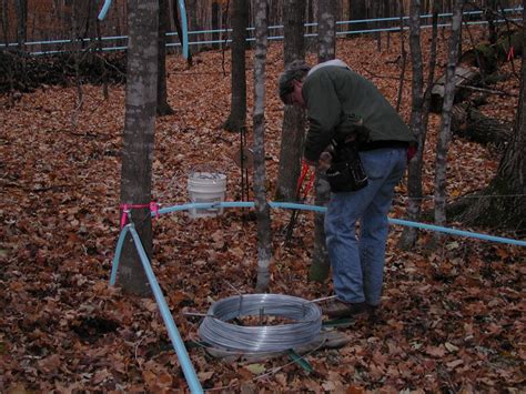 Maple Syrup Vacuum/Pipeline System Installation - The Wilderness ...