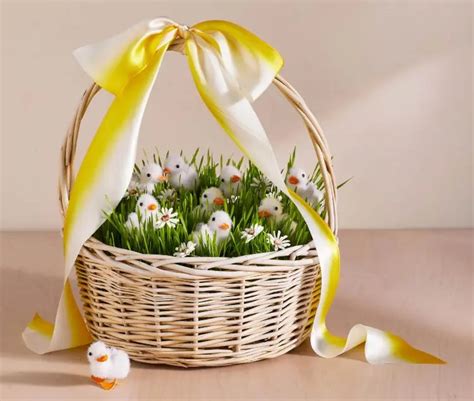 Deko Mit Ostergras Selber Machen Last Minute Diy Ideen F R