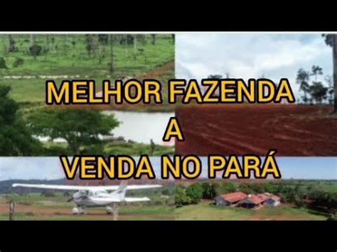 Melhor Fazenda A Venda No Par Alqueire Total Hectares