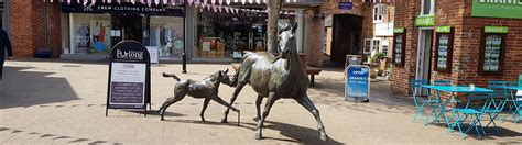 A History of Ringwood - The Ringwood Town Hub