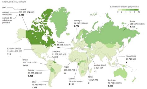 Cu Ntos Rboles Quedan En El Mundo V A El Pa S