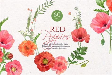 Red Poppy Watercolor Graphic By Elena Dorosh Art Creative Fabrica