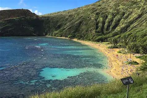 5 Best Places for Snorkeling in Hawaii - Florida Independent