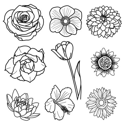 Drawing Of Blossom Flowers Vector Art At Vecteezy