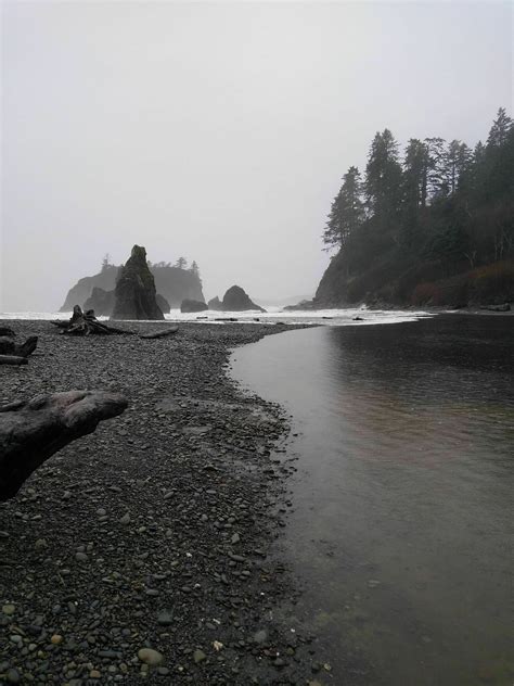 Photos of Ruby Beach - Washington | AllTrails