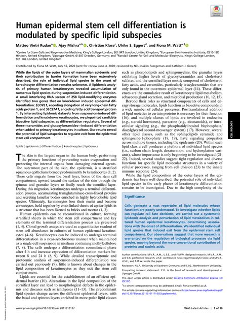 Human Epidermal Stem Cell Differentiation Is Modulated By Specific Lipid Subspecies Docslib