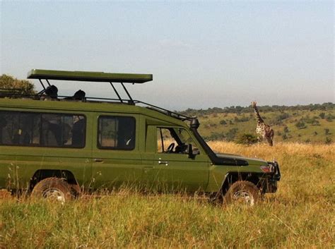 From Kigali 1 Day Akagera National Park Safari GetYourGuide